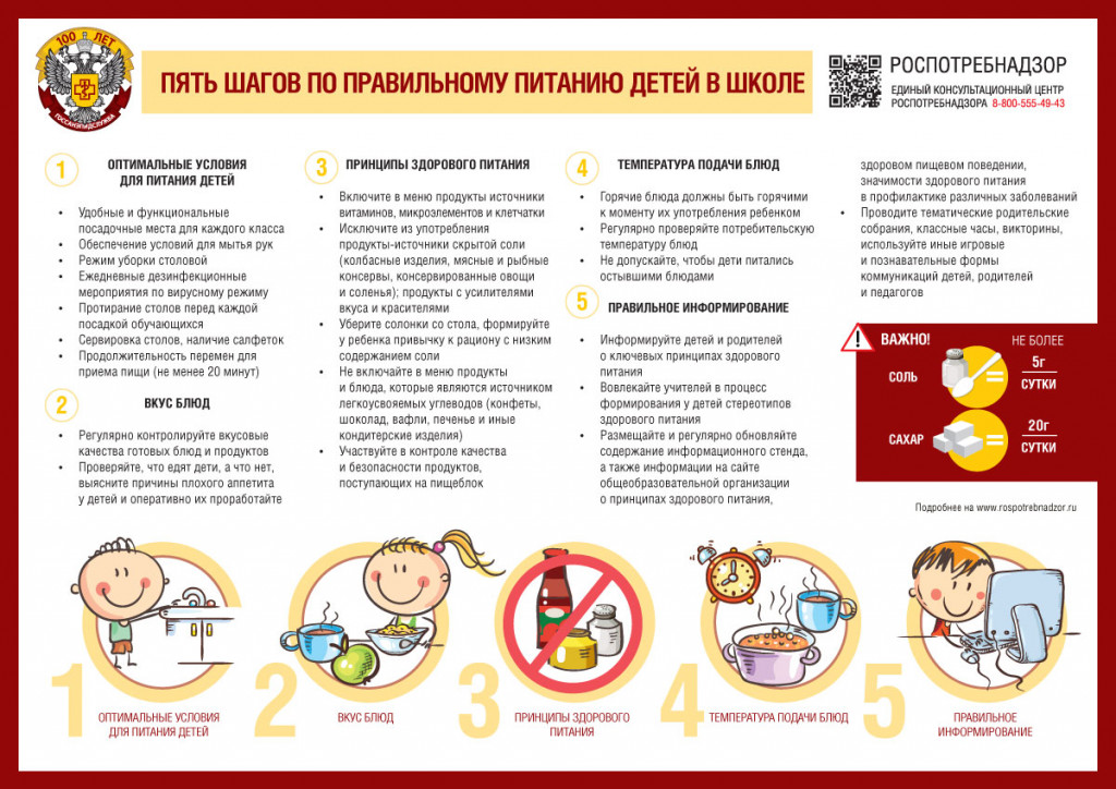 инфографика по школьному питанию